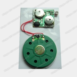 Motion Sensor Sound Module, Musical Module, Musical Chip