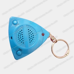 Recordable Keychain, Recording Key Chain