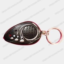 Voice Key Ring, Sound Keychain,Keychain, Voice Keychain