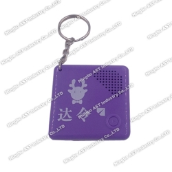 S-4220 Musical Keychain, Recordable Keychains, Voice Recorder Keychain