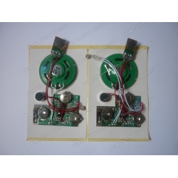 Light Sensor Recordable Sound Module