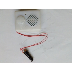 Light Sensor Voice Module, Light Sensor Sound Module