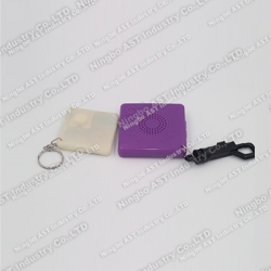 S-4202B  Digital Keychain, MP3 Keychain, USB Keychain