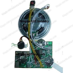 Recordable Sound Module, Sound Cards, Voice Chip, Voice Module Recorder