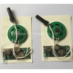 Motion Sensor Sound Module, Recordable Sound Module, Sound Chip