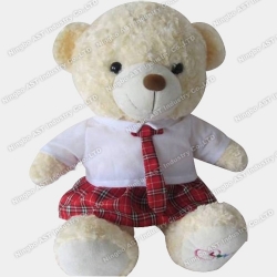 Teddy Bear, Recordable Stuffed Toy, Music Stuffed Toy