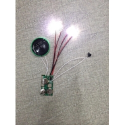 Sound module for greeting cards,vocal module,sound chip with led lights ,voice module,musical module