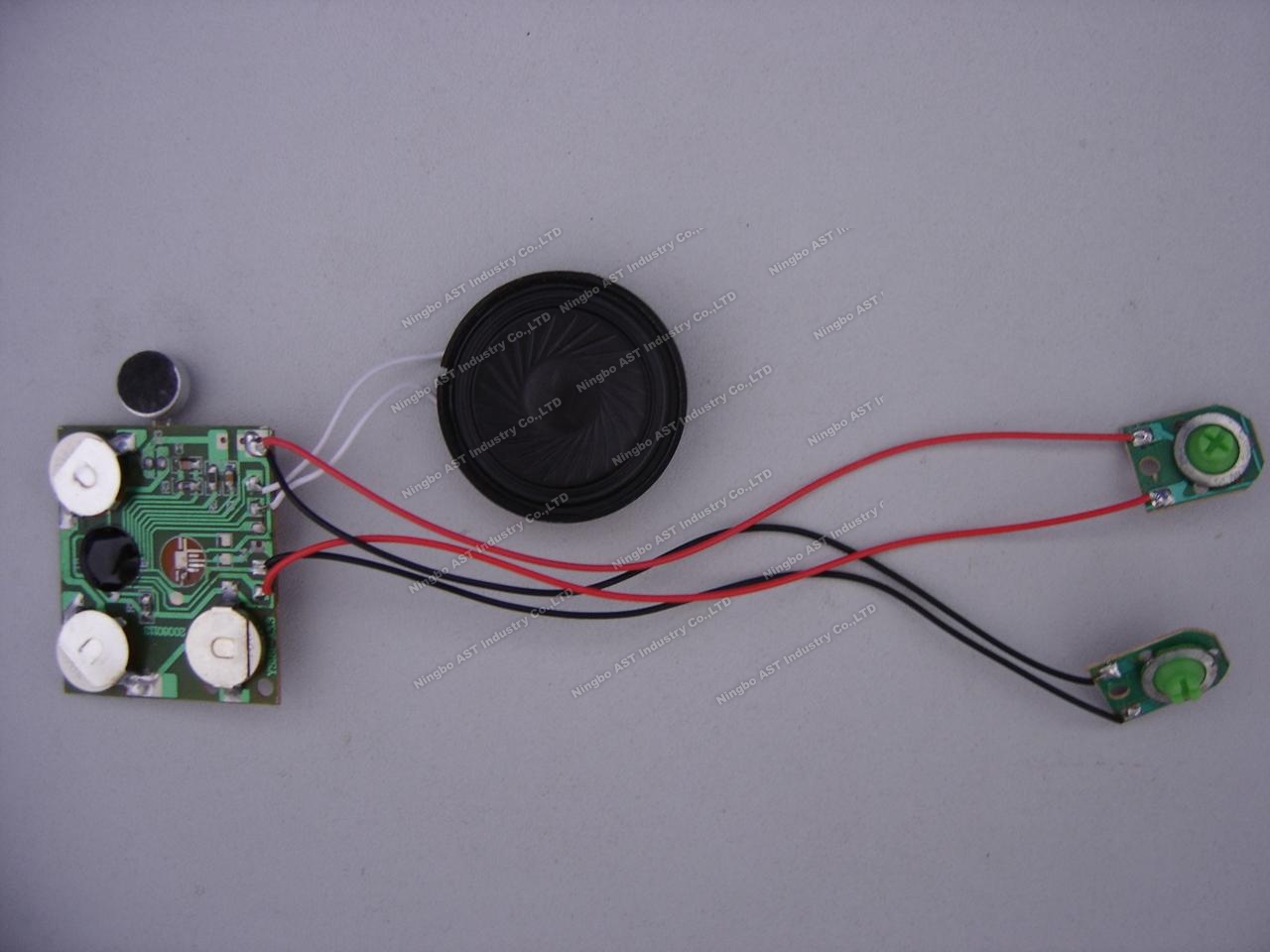 Sound Module for Greeting Card, Voice Module, Recordable Module