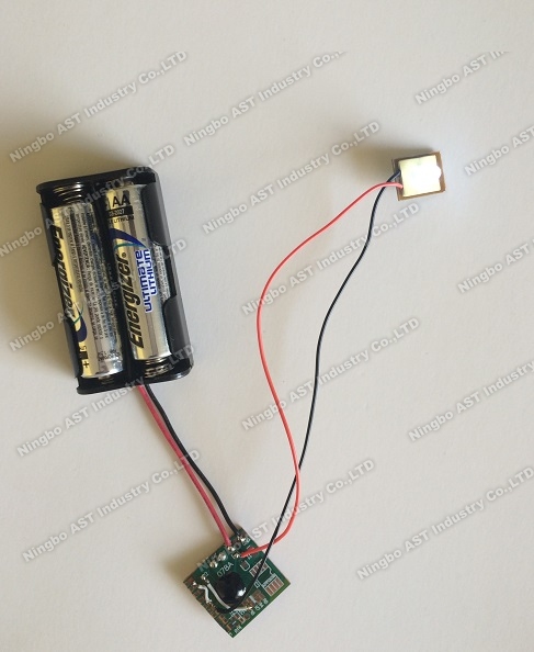 POP Display Flasher, LED Flashing Light, LED Light Module