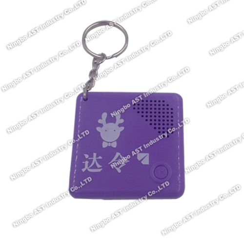 S-4220 Musical Keychain, Recordable Keychains, Voice Recorder Keychain