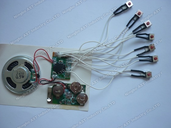 Sound module with Multiple keys,sound chip with multiple buttons,voice module,vocal module