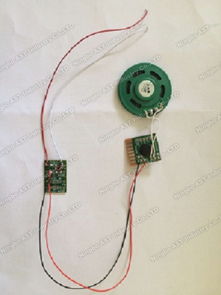 AC Power sound module,sound chip,voice module,vocal module