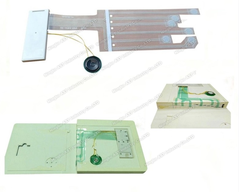 Sound module for children book ,sound module for newspaper,sound chip,voice module for brochure