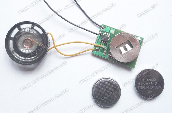 Sound Module for Bottle Opener, Sound Chip