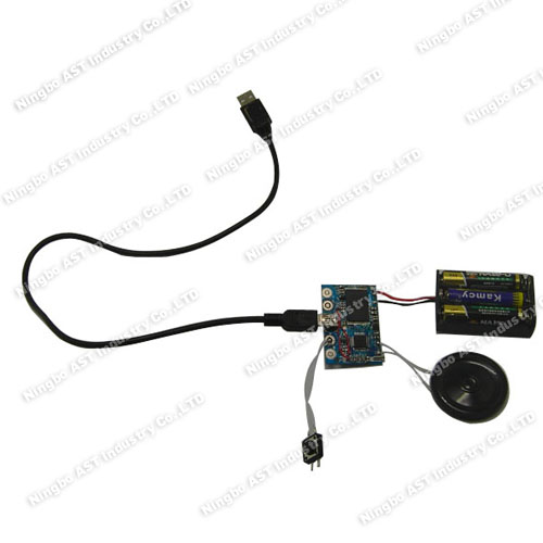 USB Sound Module ,MP3 Vocal Module, Voice Module