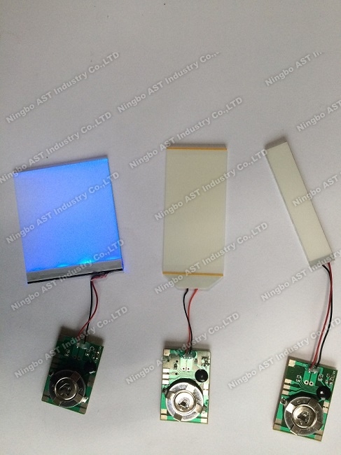 LED Flash Modules，POP Display Flasher, LED Flashing Light, LED Light Module