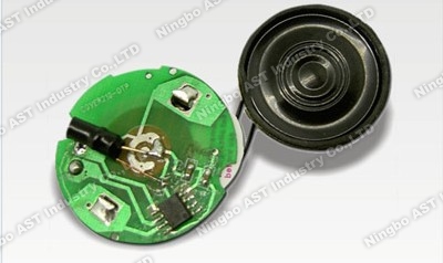 Music Chip for Greeting Card, Sound Chip, Voice Recording