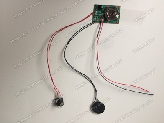 China Sound Module, Voice Chip, Sound Module, Pre-Record Sound Module