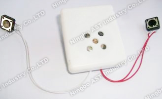 Sound Box for Stuffed Toy, Sound Module, Voice Module