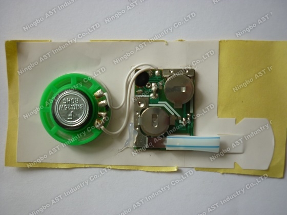 Sound module for greeting cards,vocal module,sound chip,voice module,Music module