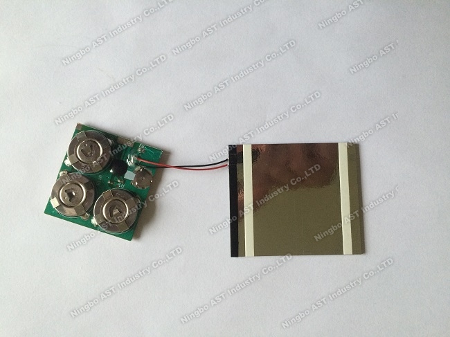 LED Flash Modules，POP Display Flasher, LED Flashing Light, LED Light Module