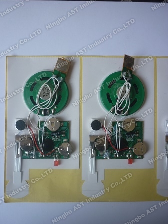 Sound Module for Greeting Cards, Recording Module