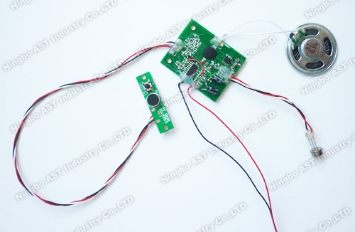 PIR Sensor Recordable Sound Module