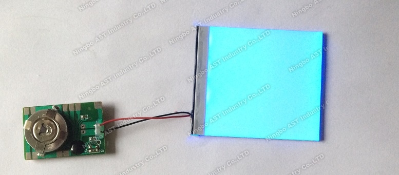 LED Flash Modules，POP Display Flasher, LED Flashing Light, LED Light Module