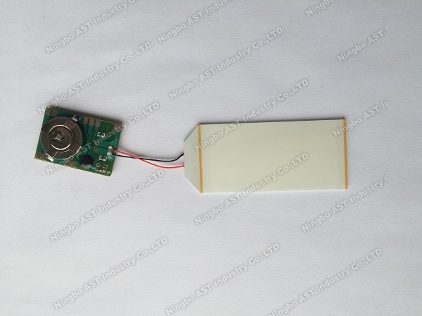 LED Flash Modules，POP Display Flasher, LED Flashing Light