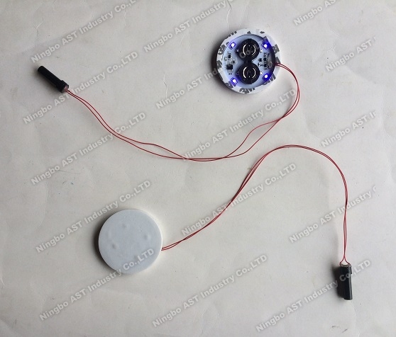 Motion sensor LED Flash Modules for cup,POP Display Flasher, LED Flashing Light, LED Light Module