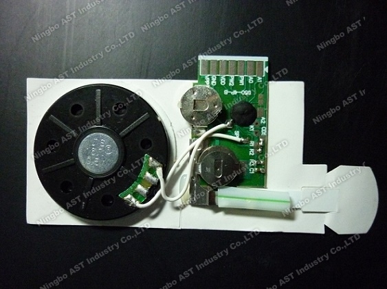 Programmable Sound module,vocal module,sound chip,Recordable voice module,musical module