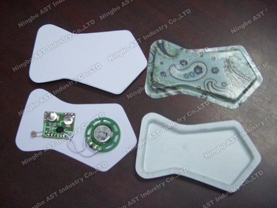 Fish Shape Voice Recorder,Sound Module, Voice Module