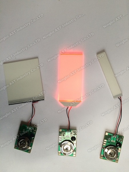 LED Flash Modules，POP Display Flasher, LED Flashing Light, LED Light Module