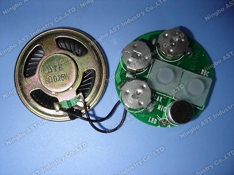 Sound module for greeting cards,vocal module,sound chip,voice module with push button