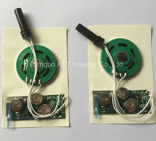 Motion Sensor Sound Module, Recordable Sound Module, Sound Chip