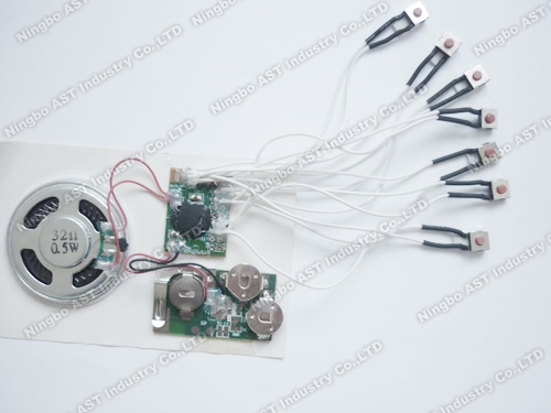 Multi Message Sound Module, Audio Chip