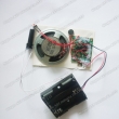 Motion Sensor Recordable Module, Voice Chip