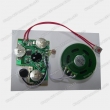 Light Sensor Recordable Sound Module