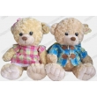 Teddy Bear Plush Toy, Recordable Stuffed Toy