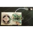 Light Sensor Recordable Sound Module