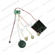 Voice Recorder, Sound Chip, China Recordable Sound Module