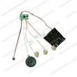 Voice Recorder, Sound Chip, China Recordable Sound Module